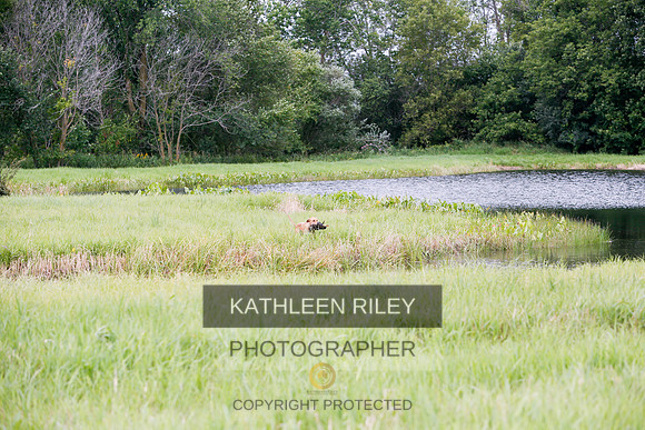 2022-KathleenRileyPhotography-3188