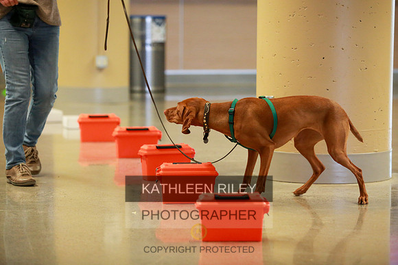 2022-KathleenRileyPhotography-7741