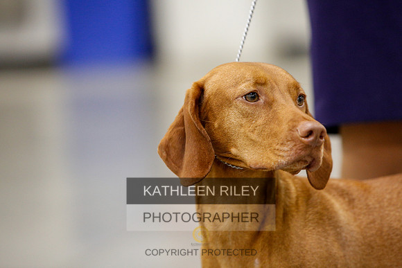 2022-KathleenRileyPhotography-2370