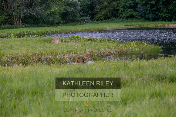 2022-KathleenRileyPhotography-3353