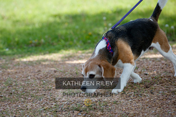 2022-KathleenRileyPhotography-3804