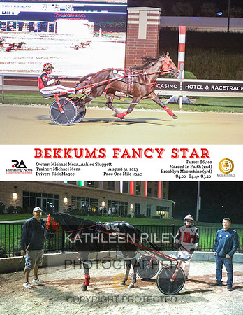 Bekkums Fancy Star - 08-31-23  - R08 - RA  8.5x11