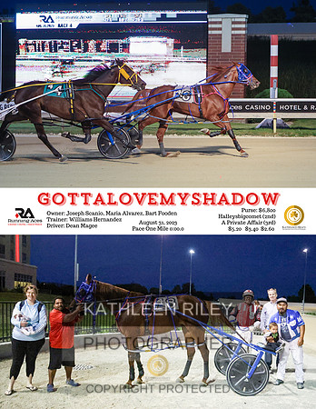 Gottalovemyshadow - 08-31-23  - R04 - RA  8.5x11