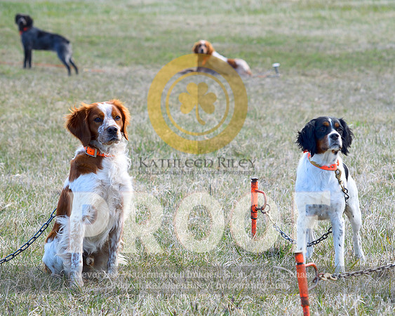 2021-04-21-AmyKleine-6058