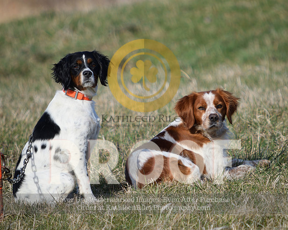 2021-04-21-AmyKleine-6079