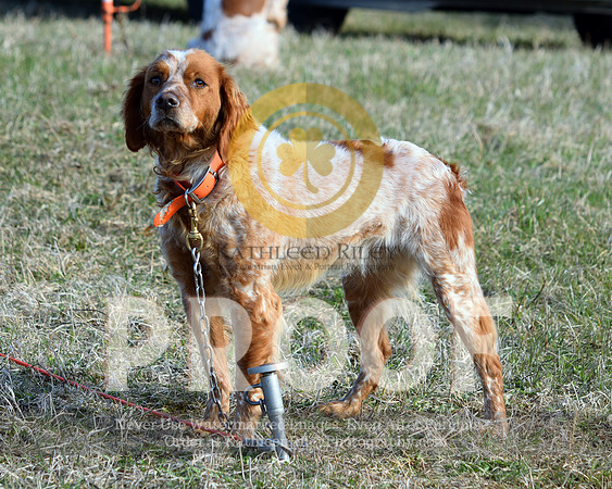 2021-04-21-AmyKleine-6086