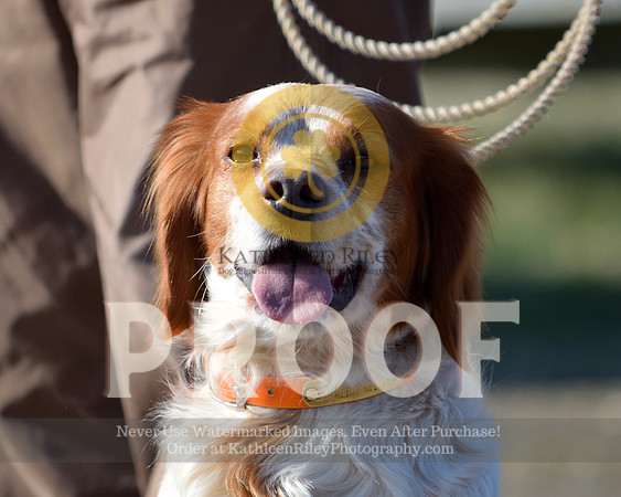2021-04-21-AmyKleine-6109
