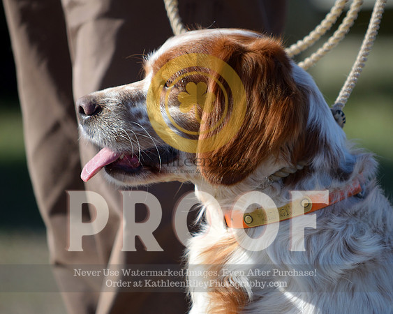 2021-04-21-AmyKleine-6114