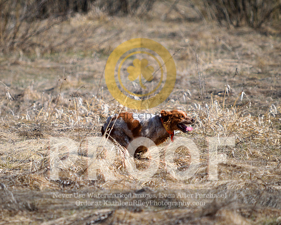 2021-04-21-AmyKleine-6144