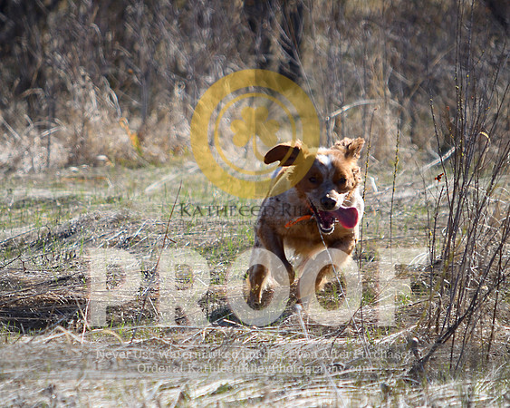 2021-04-21-AmyKleine-6147