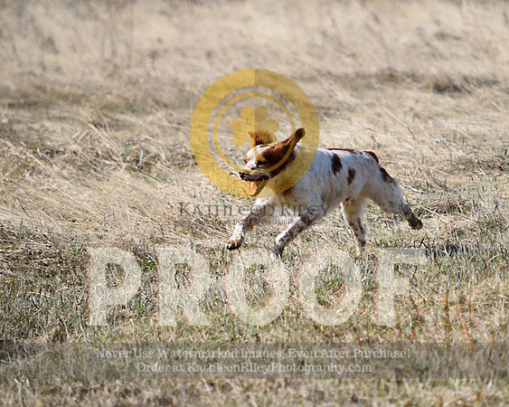 2021-04-21-AmyKleine-6181