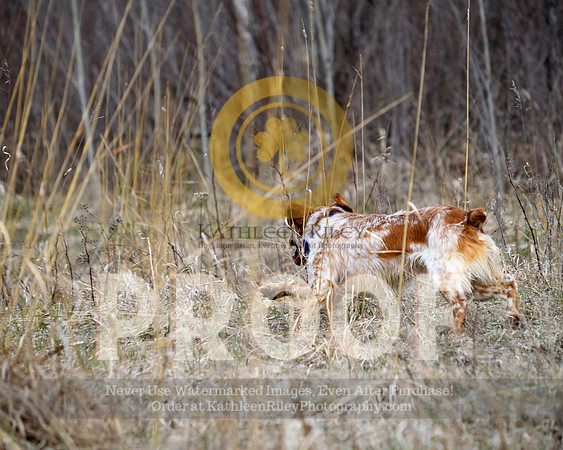 2021-04-21-AmyKleine-6258