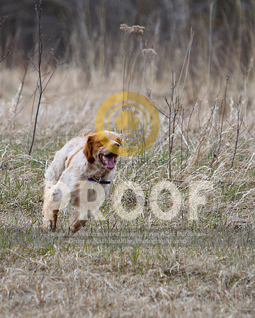 2021-04-21-AmyKleine-6267