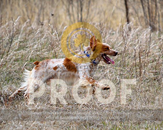 2021-04-21-AmyKleine-6268