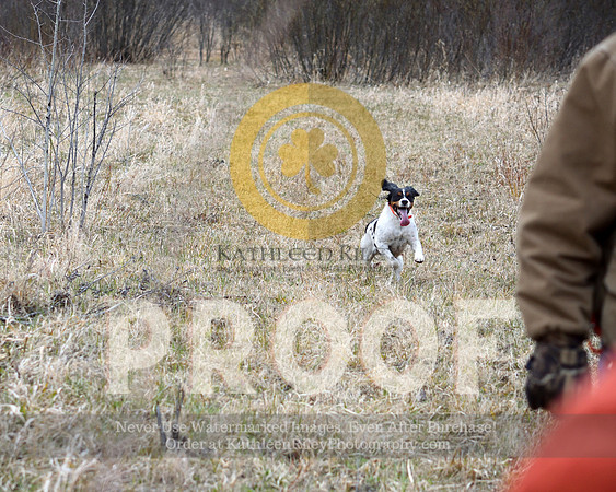 2021-04-21-AmyKleine-6338