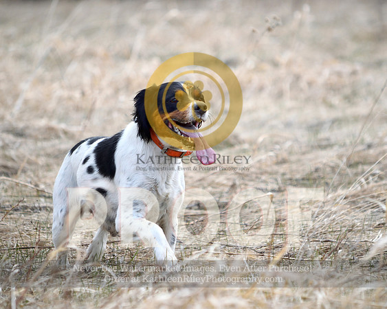 2021-04-21-AmyKleine-6349