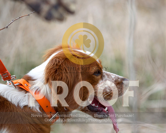 2021-04-21-AmyKleine-6441