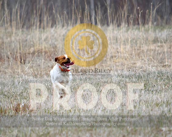 2021-04-21-AmyKleine-6459