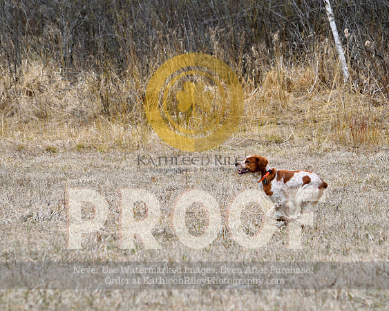 2021-04-21-AmyKleine-6465