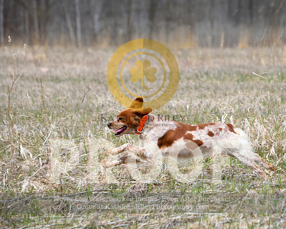 2021-04-21-AmyKleine-6521