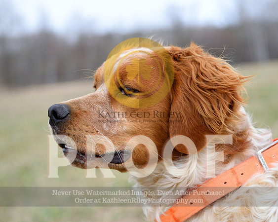 2021-04-21-AmyKleine-6566