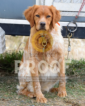 2021-04-21-AmyKleine-6587