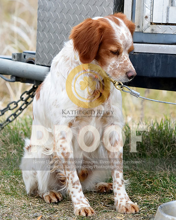 2021-04-21-AmyKleine-6588
