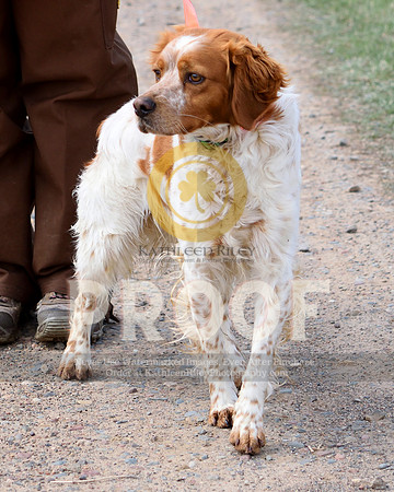2021-04-21-AmyKleine-6611