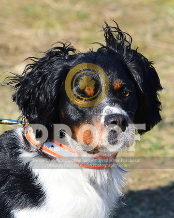 2021-04-22-AmyKleine-6668