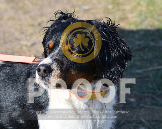 2021-04-22-AmyKleine-6671
