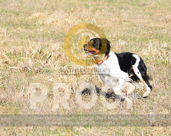 2021-04-22-AmyKleine-6678