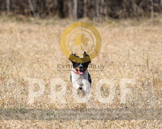 2021-04-22-AmyKleine-6686