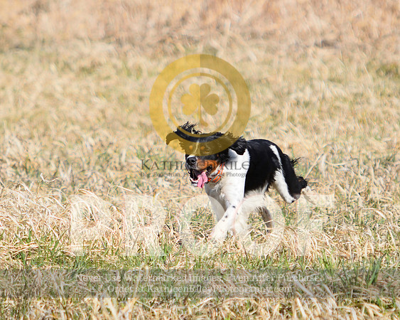 2021-04-22-AmyKleine-6707