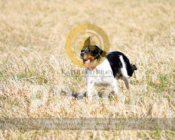 2021-04-22-AmyKleine-6708