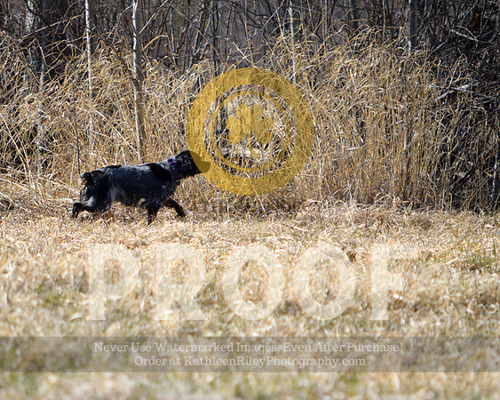 2021-04-22-AmyKleine-6729