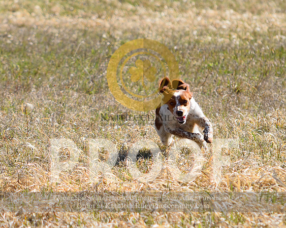 2021-04-22-AmyKleine-6768