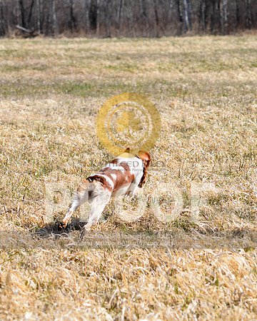 2021-04-22-AmyKleine-6766