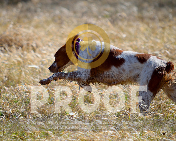 2021-04-22-AmyKleine-6795