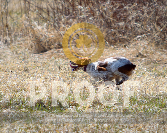 2021-04-22-AmyKleine-6790