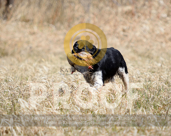 2021-04-22-AmyKleine-6853