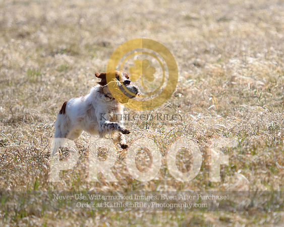 2021-04-22-AmyKleine-6862
