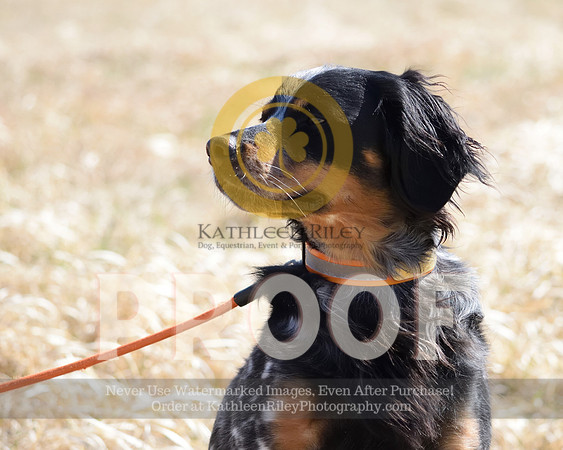 2021-04-22-AmyKleine-6873