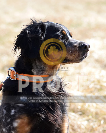 2021-04-22-AmyKleine-6874