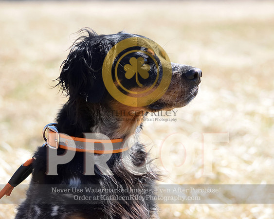 2021-04-22-AmyKleine-6881