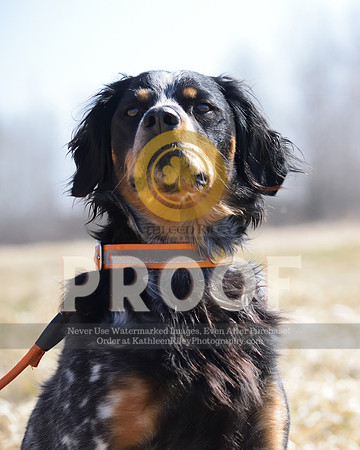2021-04-22-AmyKleine-6882