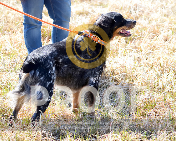 2021-04-22-AmyKleine-6884