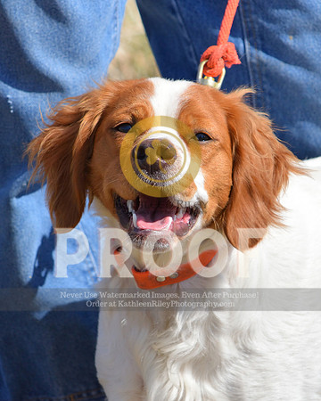 2021-04-22-AmyKleine-6977