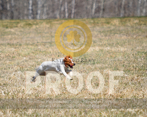 2021-04-22-AmyKleine-6997