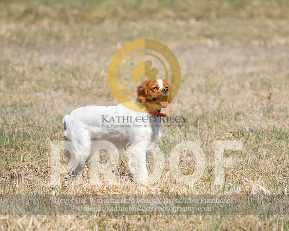 2021-04-22-AmyKleine-7000