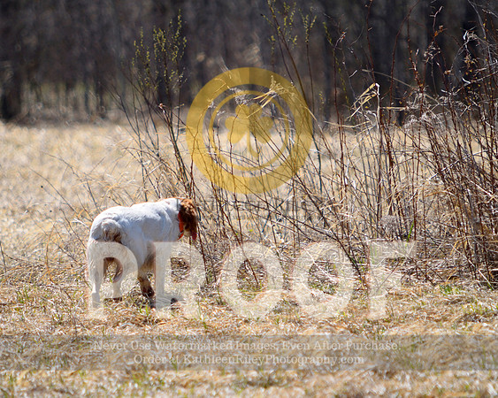 2021-04-22-AmyKleine-7027
